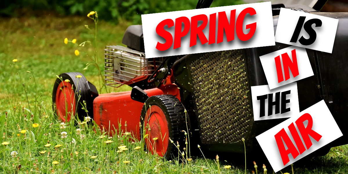 When Should I Mow My Lawn For The First Time In Spring?